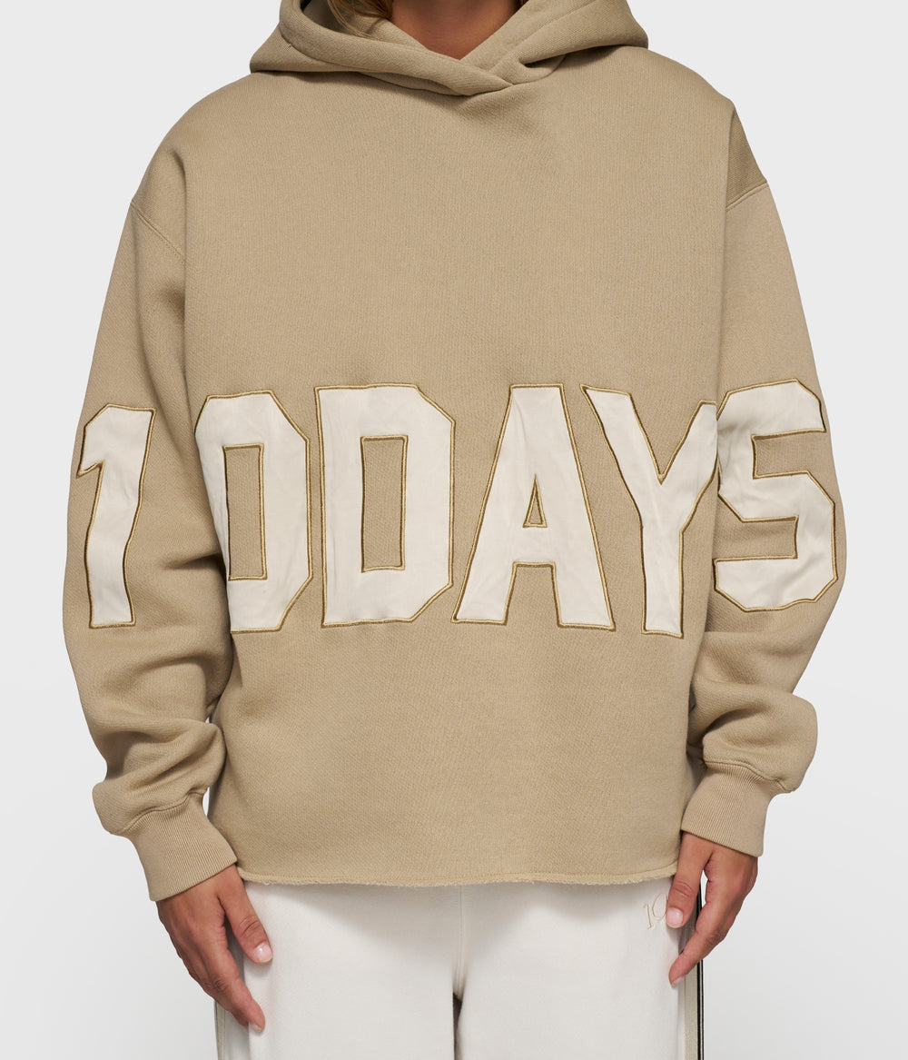 statement logo hoodie | earth