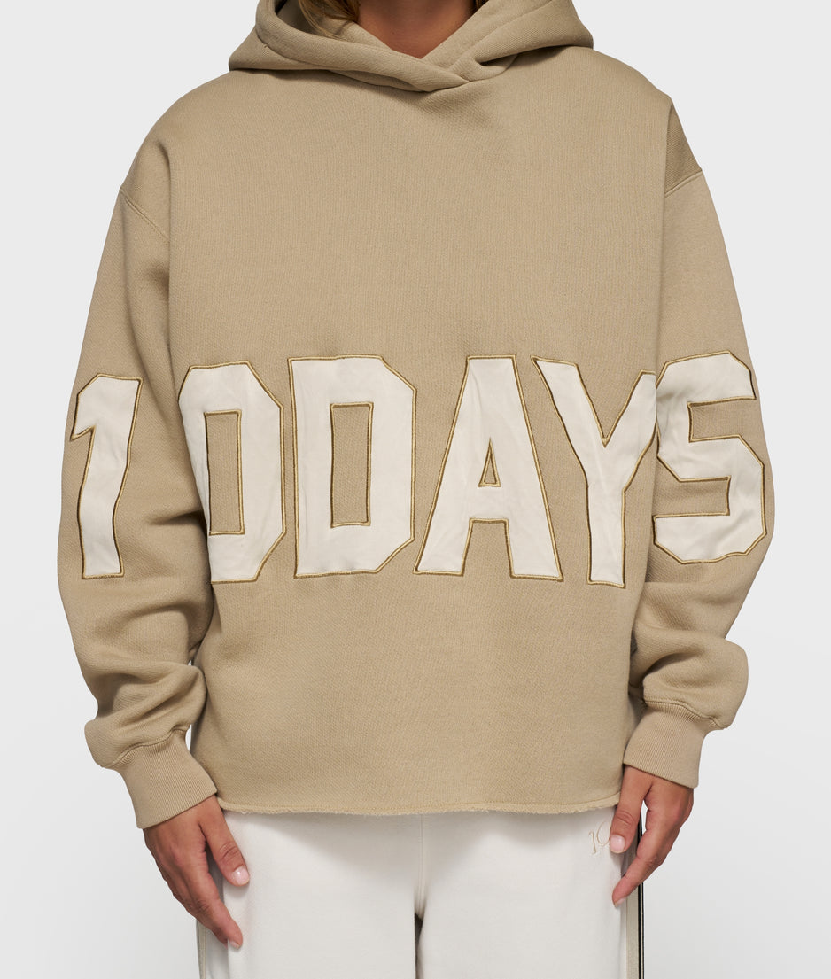 statement logo hoodie | earth