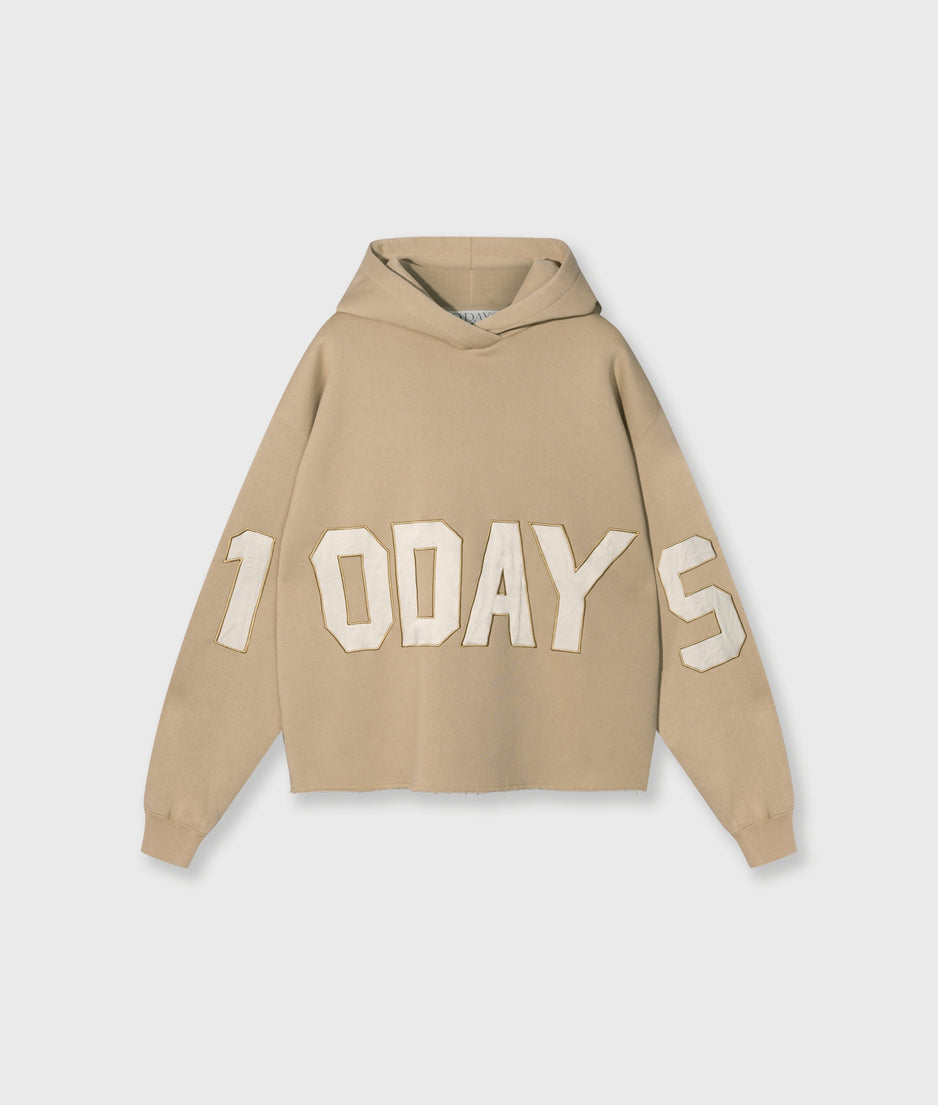 statement logo hoodie | earth